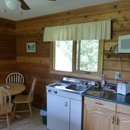 Mica Mountain Lodge & Log Cabins Tête Jaune Екстериор снимка