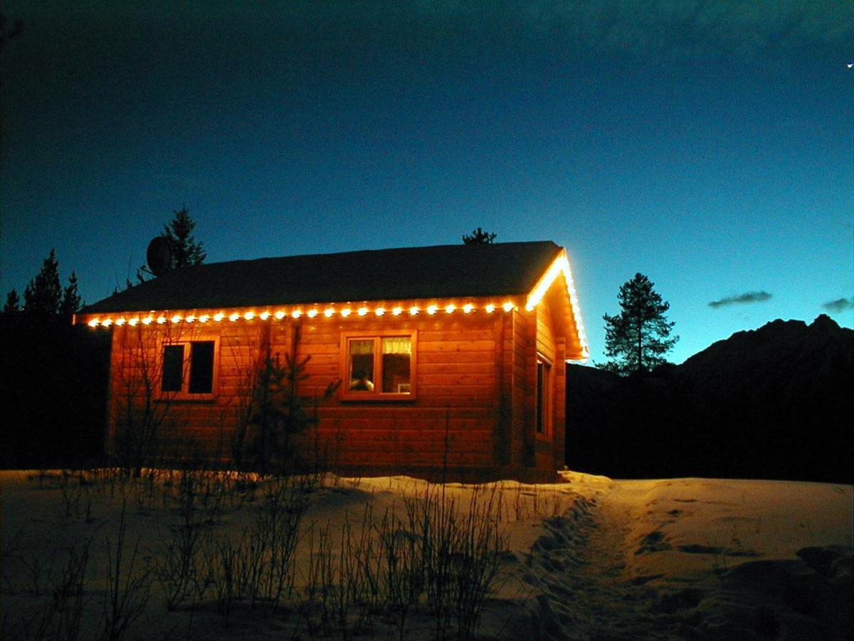 Mica Mountain Lodge & Log Cabins Tête Jaune Екстериор снимка