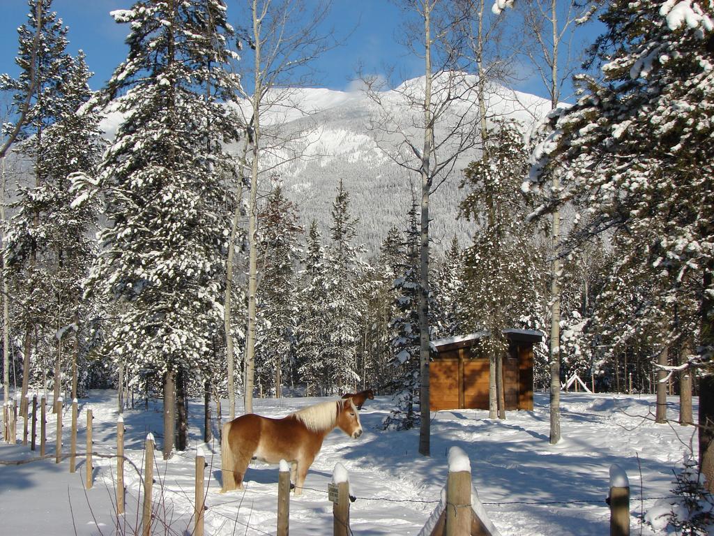 Mica Mountain Lodge & Log Cabins Tête Jaune Екстериор снимка