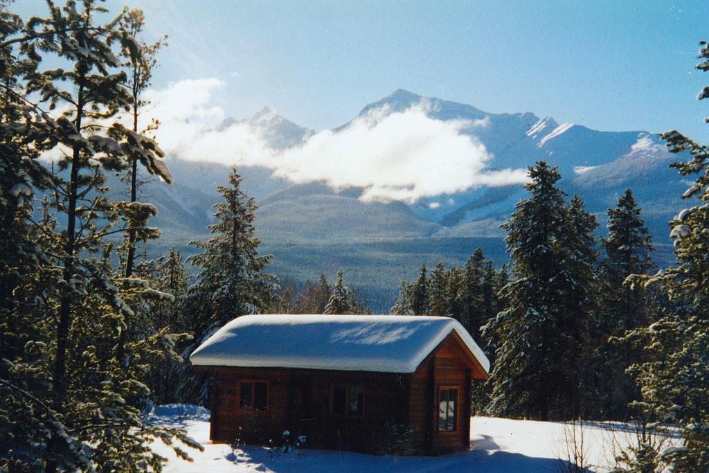Mica Mountain Lodge & Log Cabins Tête Jaune Екстериор снимка