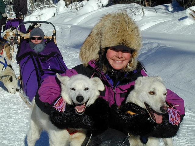 Mica Mountain Lodge & Log Cabins Tête Jaune Екстериор снимка